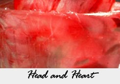 Head and Heart